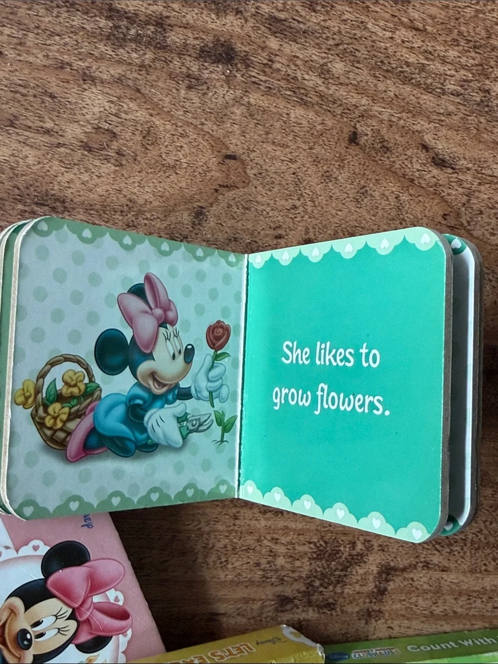 Disney Minnie Mouse Colorful Board Book Set - Pink, Yellow, Green, Blue, Purple